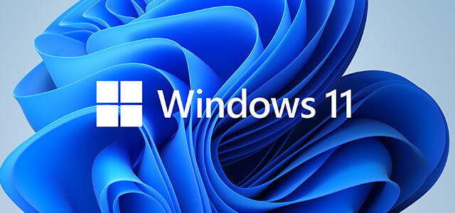 Windows 11 EDUCATİON Dijital Lisans 32&64 Bit Key